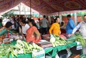 नगरपालिकाद्वारा हाटबजार सञ्चालन